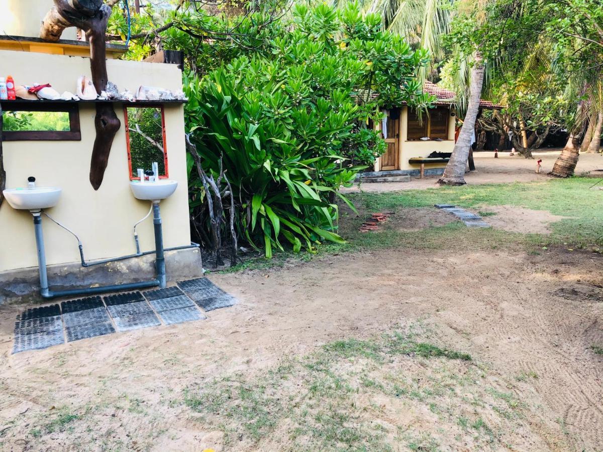 مبيت وإفطار كالبيتيا Kite House Cafe المظهر الخارجي الصورة